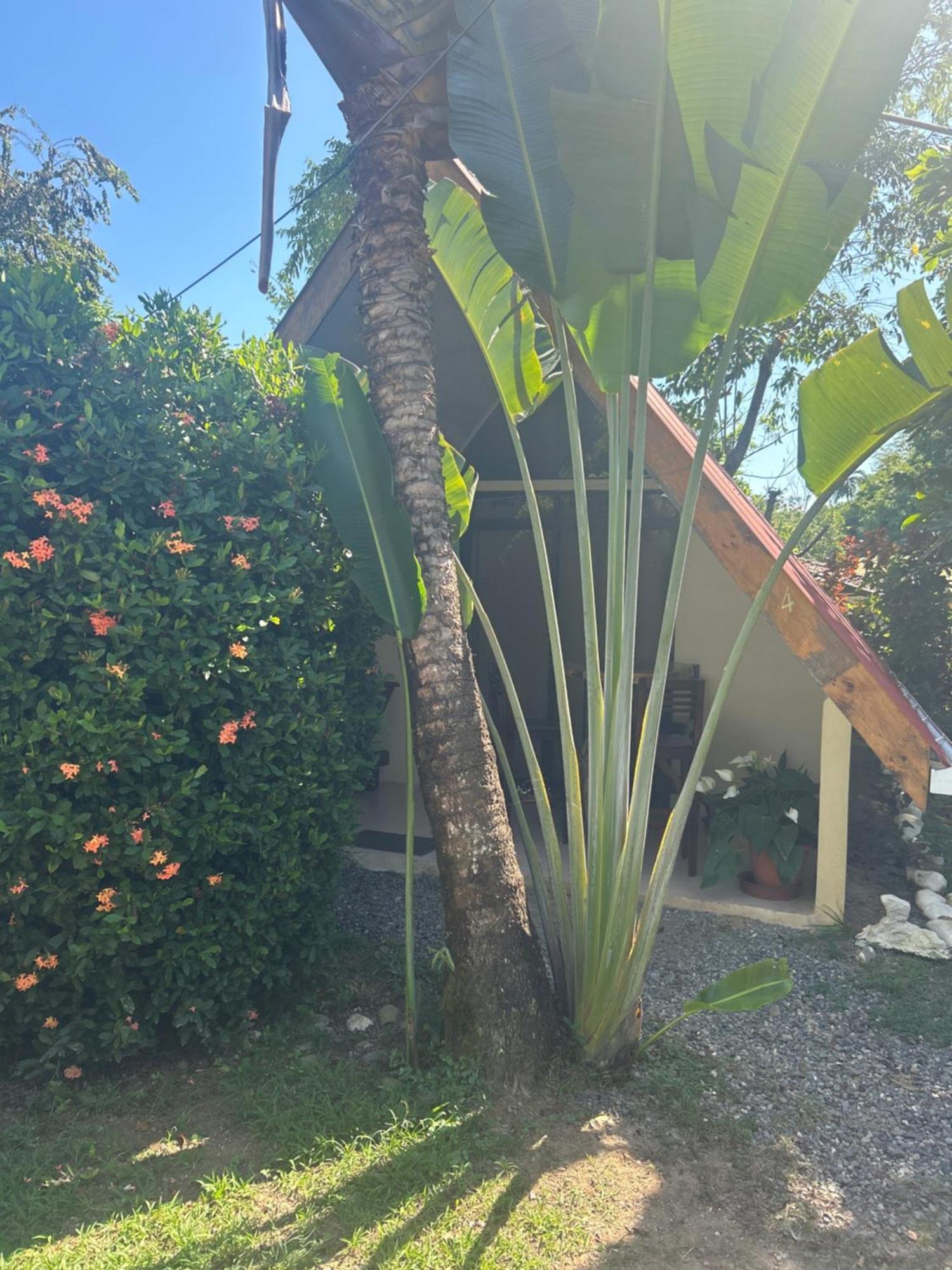 Ballena Oasis Homes & Glamping Uvita Exterior photo